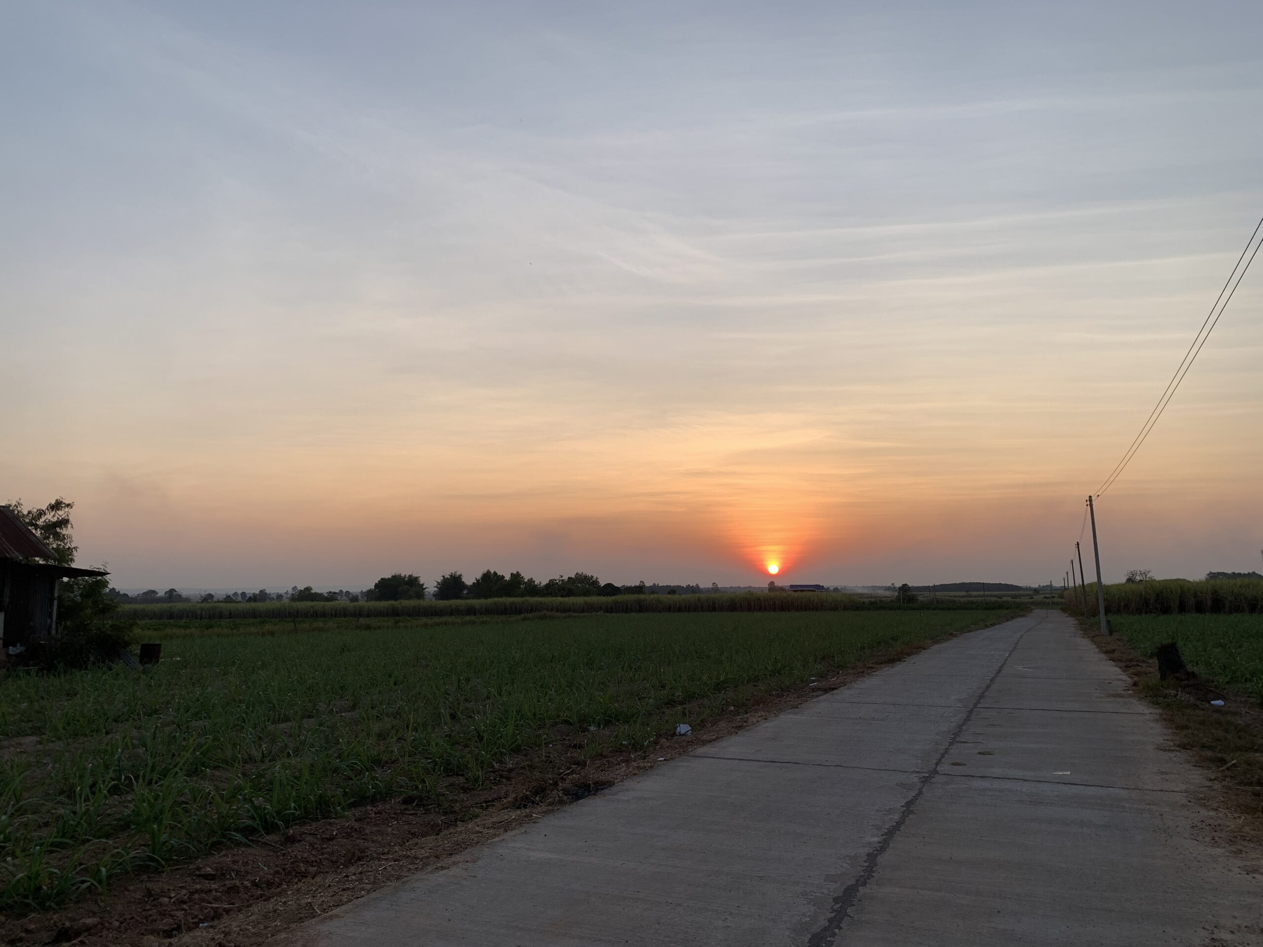 sunset over rice field in Isan Thailand